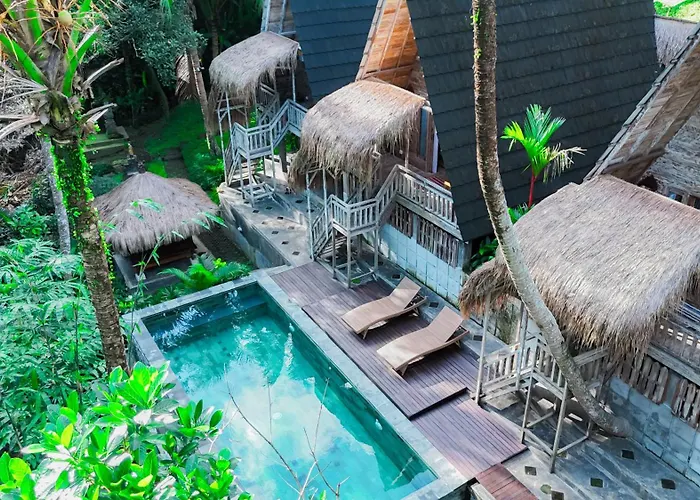 House Of Bima *